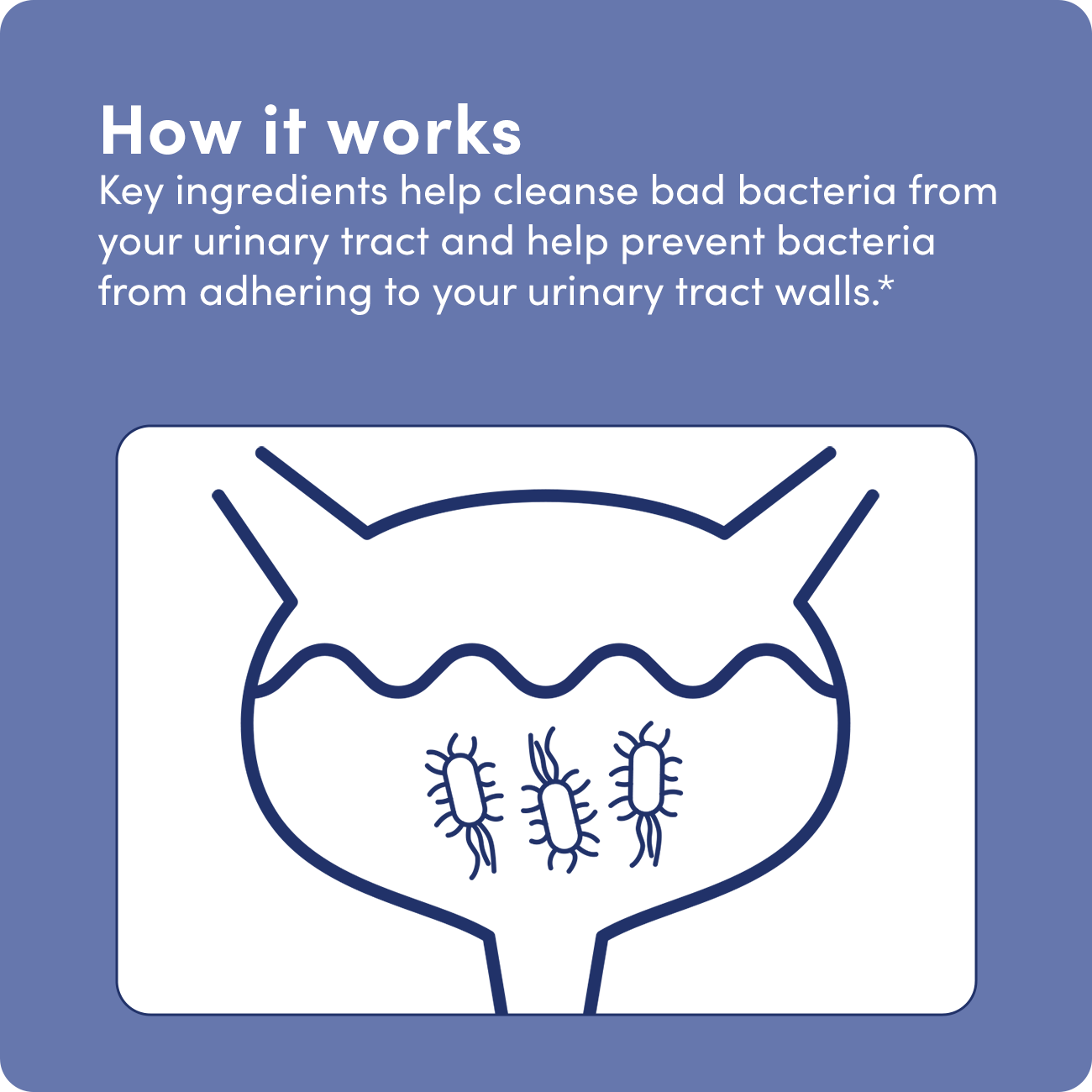 Urinary Tract Defense